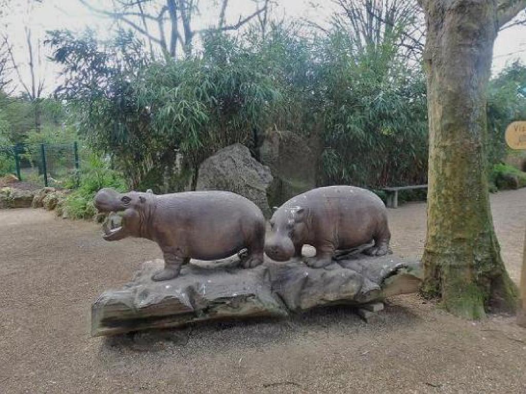 149 BIO PARC DE DOUE LA FONTAINE 7- 2016_000023.jpg